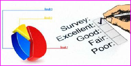 Pie chart and typical questionnaire item