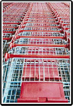 Rows of parked supermarket trollies